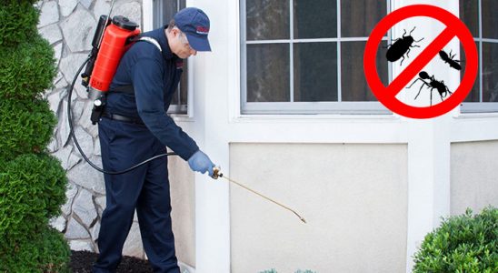 Tepebaşı Tahtakurusu İlaçlama böcek ilaçlama ve haşere kontrolü — ilaclama-tr.com